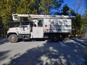 Tree removal equipment